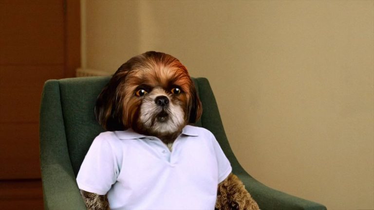 Bruno Aleixo regressou à TV