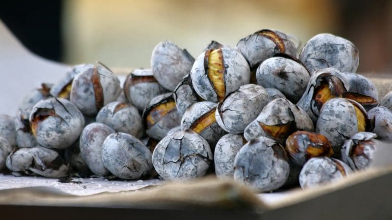 Os melhores sítios para festejar o São Martinho