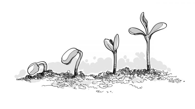 Iniciativa É PRECISO ACREDITAR vai entregar tratores e alfaias às vítimas dos fogos