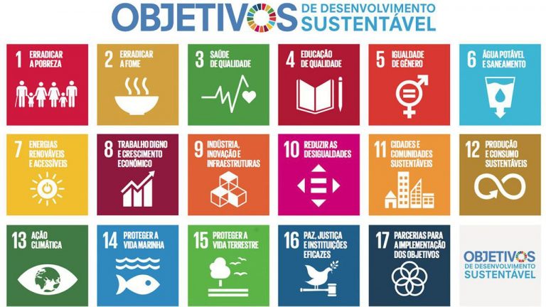 NOS Alive é o primeiro festival de música a fazer parceria com as Nações Unidas