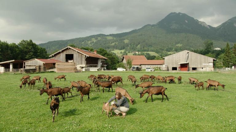 24ª edição do CineEco premeia “Utopia Revisitada”