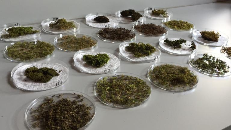 Investigadores desenvolvem solução para construção de edifícios sustentáveis