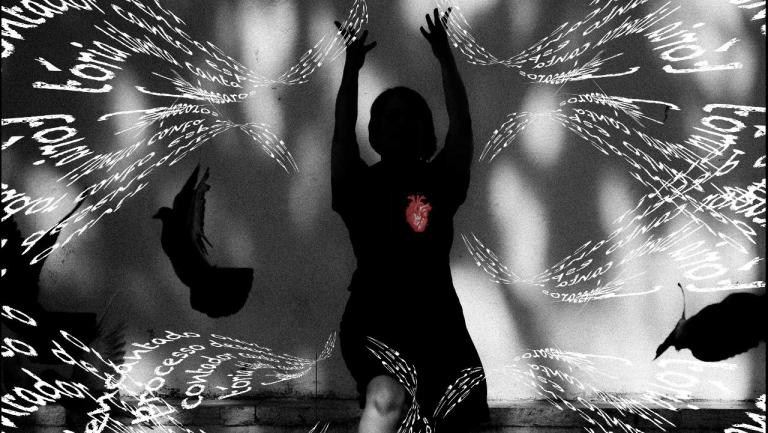 Santa Casa apresenta Polo Cultural de São Roque com várias atividades gratuitas