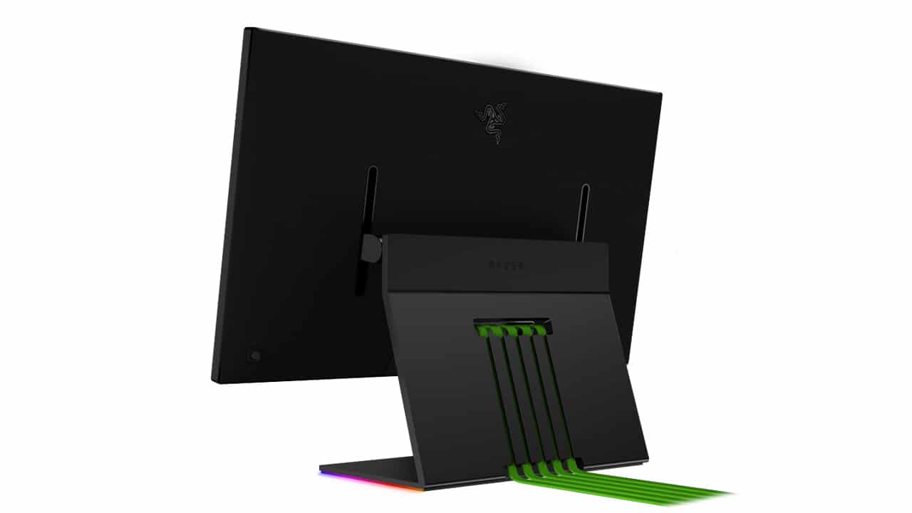 Razer Raptor Back