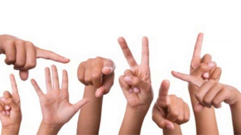 Dicionário de língua gestual portuguesa está agora online