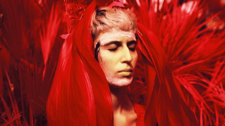 Já se conhecem todos os finalistas do Festival da Canção 2019