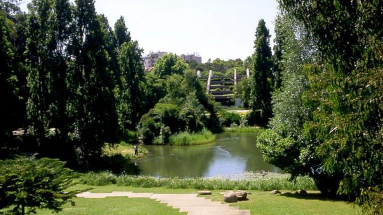 UniLoop Rewards vai dar benefícios monetários aos estudantes com boas práticas no seu dia-a-dia