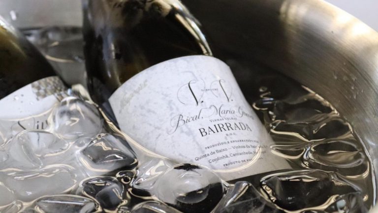 Bairrada@LX – Fomos provar vinhos (dos bons) ao Mercado da Ribeira