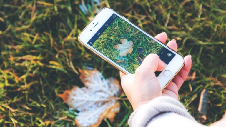 Seek, a app que reconhece plantas e animais através do smartphone