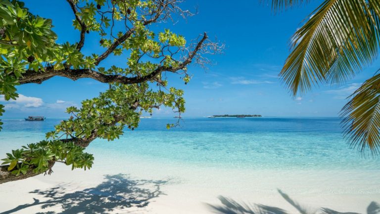 10 dicas para poupar nas viagens de verão