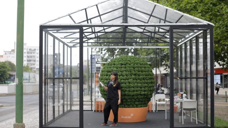 Este Mega Manjerico vai ajudar crianças com cancro