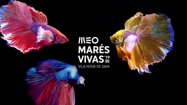 MEO Marés Vivas registou valor recorde de 3TB de dados transmitidos