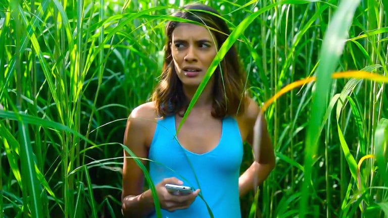 Stephen King regressa à Netflix com “In the Tall Grass”