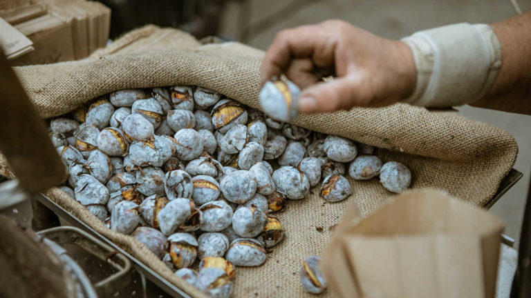 LX Factory vai receber evento dedicado ao vinho, castanhas assadas e música