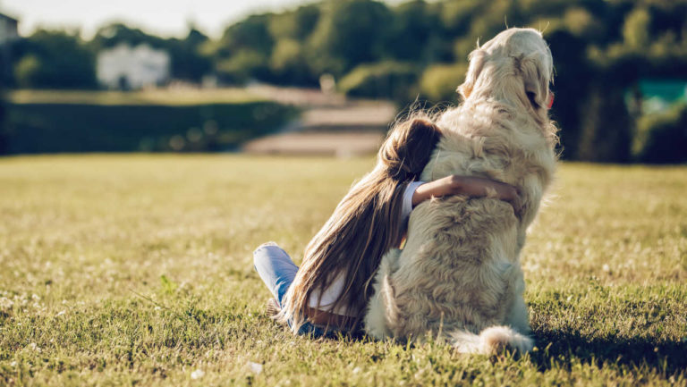 Lidl garantiu 284 mil refeições para animais abandonados