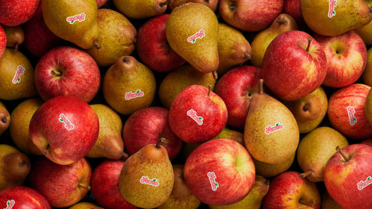 Maria. Esta é a nova marca de fruta 100% portuguesa