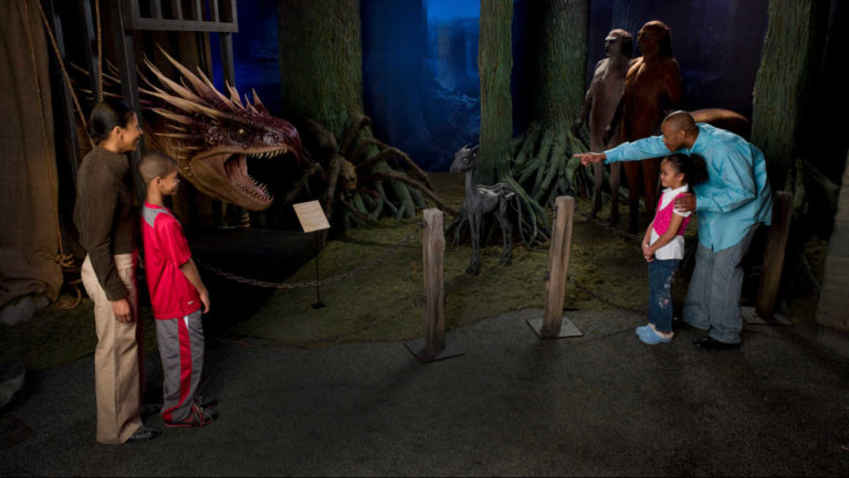 Exposição de Harry Potter em Lisboa já não vai reabrir