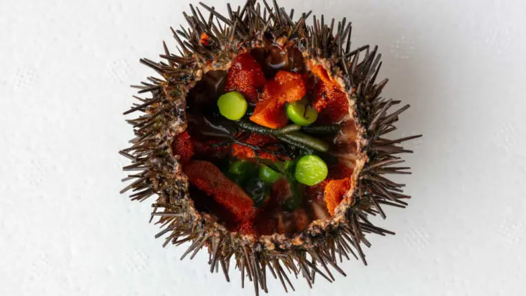 Primeira Ouriçaria nacional abriu no Mercado Municipal da Ericeira