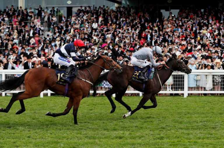 Santa Casa deve disponibilizar apostas em corridas de cavalos no próximo ano