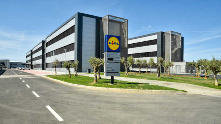 Programa Mais Ajuda do Lidl vai dar 150 mil euros a projetos de apoio à comunidade