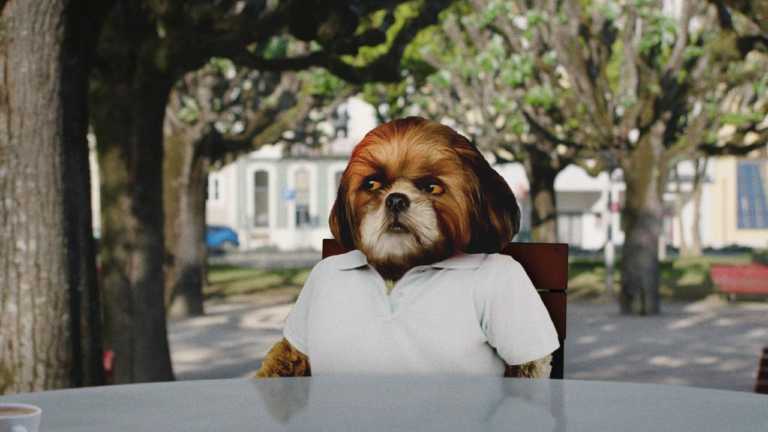 O Filme do Bruno Aleixo chegou ao serviço de streaming OPTO