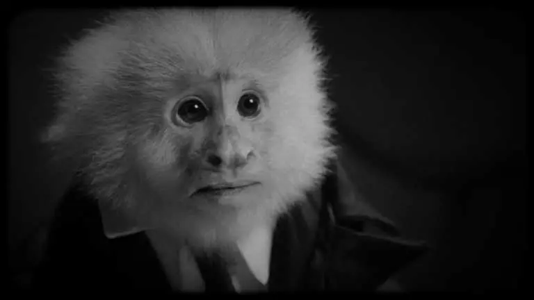 David Lynch interroga um macaquinho na sua curta para a Netflix