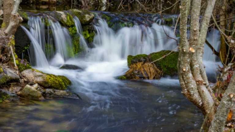Amor Tejo. Esta empresa está a organizar caminhadas na região Centro de Portugal