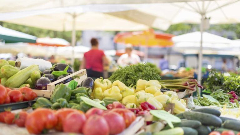 Ministério da Agricultura e Mar reforça apoio à inovação agrícola e florestal com 11 milhões de euros