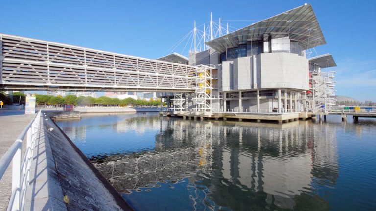 Oceanário de Lisboa já reabriu portas