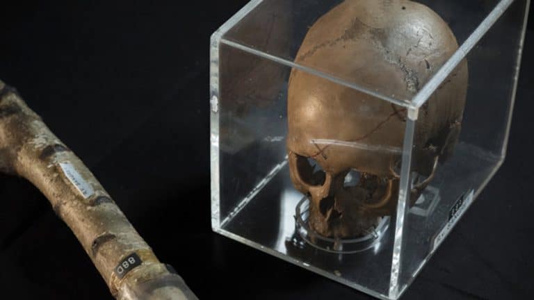 Criminologia Forense é a nova aposta do canal Crime + Investigation