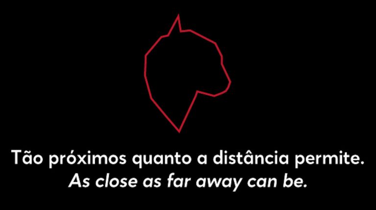 FEST – Novos Realizadores, Novo Cinema aposta no cinema drive-in