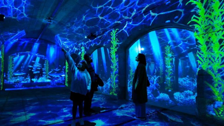 Porto Legends. Espetáculo de video mapping está de volta à Alfândega