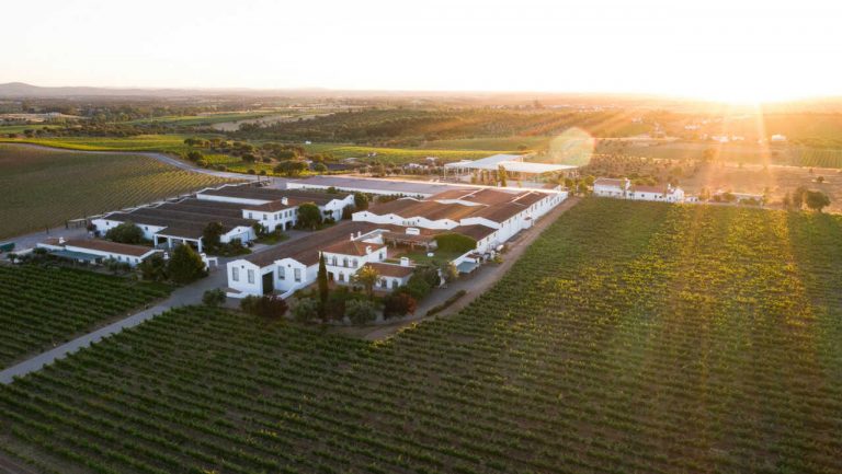 Adega Vila Santa volta a receber enoturistas em segurança