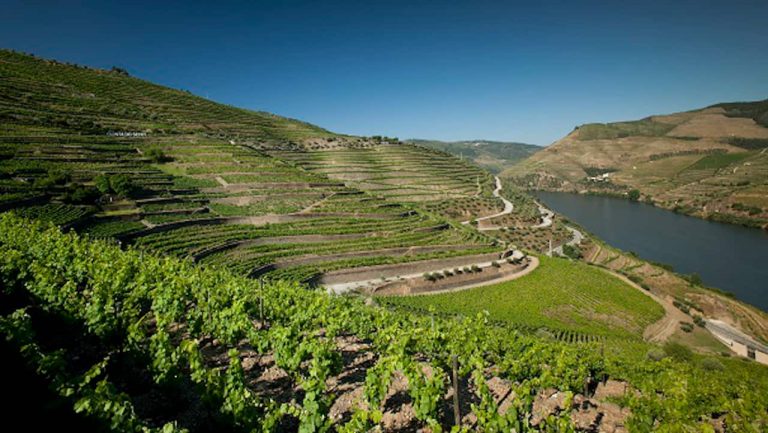 Quinta do Seixo vai promover fins de tarde com música, cinema e muito vinho