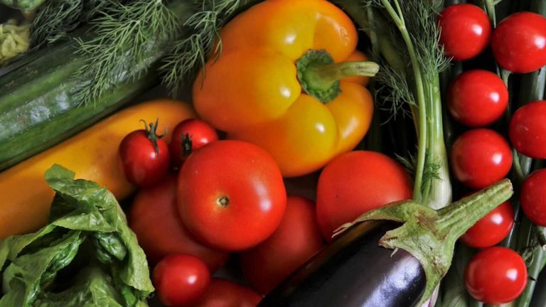 Universidade de Aveiro vai ter restaurante vegetariano