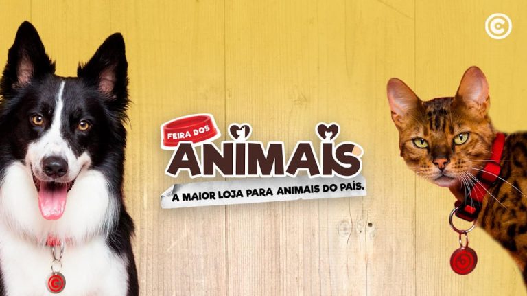 Está de volta ao Continente a maior Feira dos Animais do país