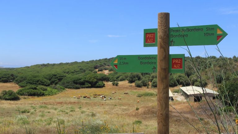 Turismo do Algarve lança guia com 51 rotas para descobrir o património daquela região