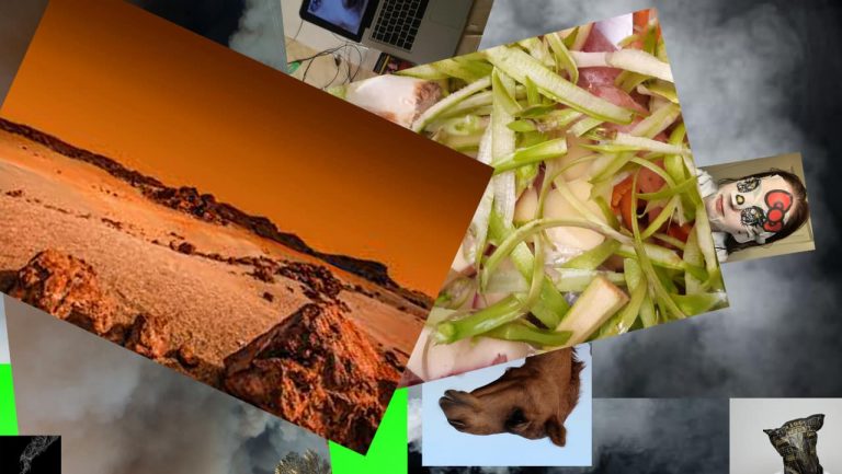 Alkantara Festival 2020 vai destacar projetos que contribuem para reflexões sobre a crise ambiental