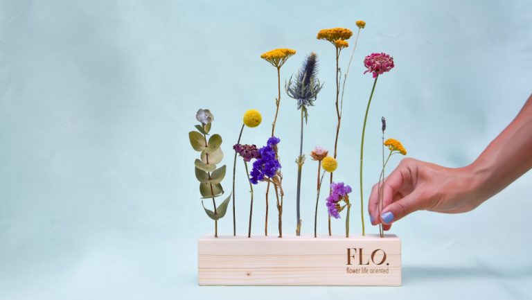 FLO. Nova marca sustentável valoriza cada fase da vida de uma flor