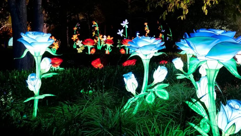 Jardim Botânico Tropical de Belém ganha percurso noturno com mais de 20 experiências sensoriais e interativas