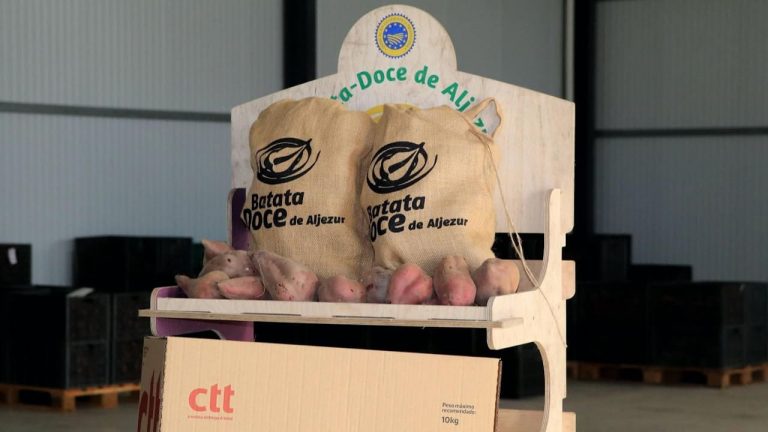 CTT levam a famosa Batata Doce de Aljezur a todo o país