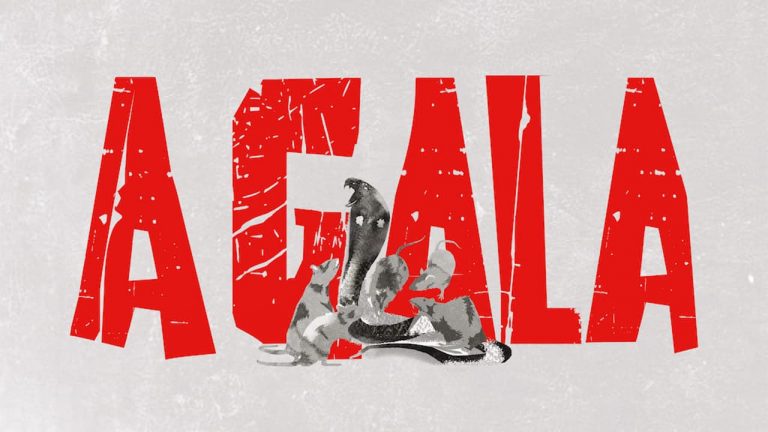 A Gala é uma nova experiência virtual que nos convida a desvendar um mistério