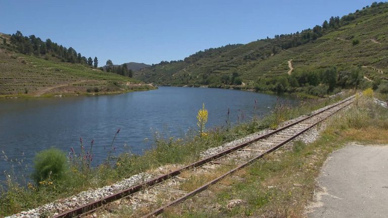 Regresso do comboio à linha do TUA pode estar em risco