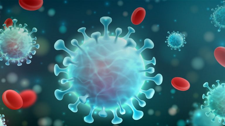 DGS esclarece questão da ventilação e arejamento dos espaços nas escolas