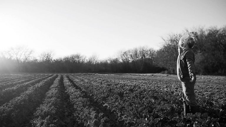 Crítica – The Dog Who Wouldn’t Be Quiet (Sundance 2021)