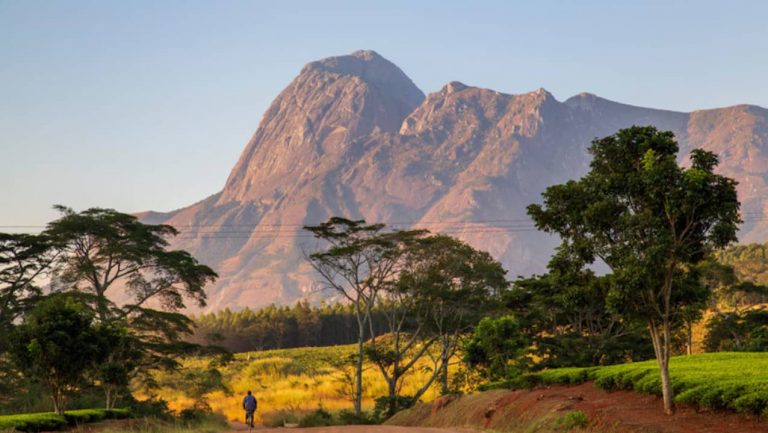 Cinco destinos ecológicos que devem conhecer