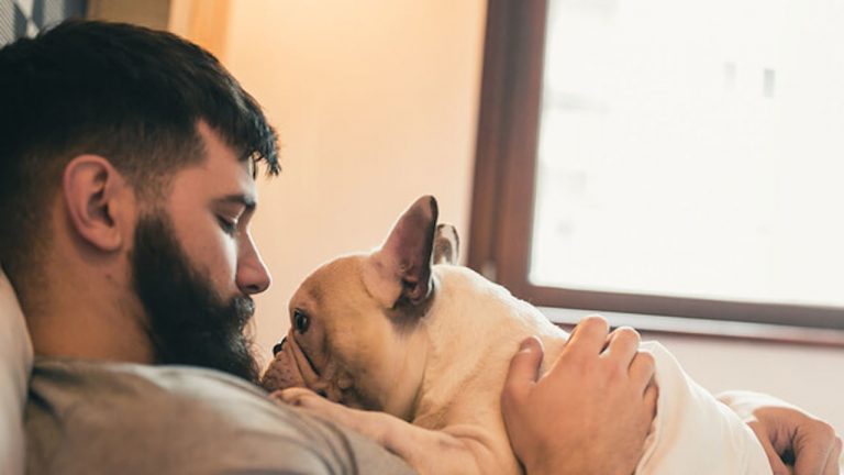 Clientes Fidelidade com acesso gratuito ao serviço Telepet para cães e gatos