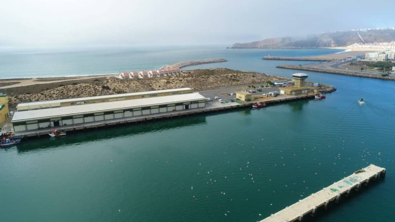 Docapesca vai requalificar edifício da Lota do Porto de Pesca da Nazaré