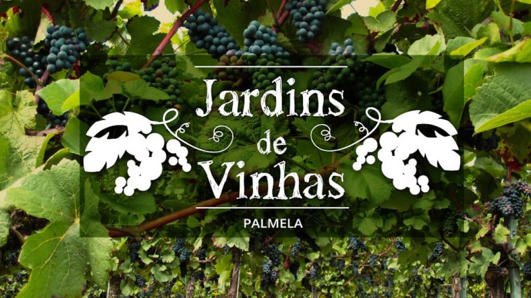 Palmela promove novo percurso pedestre que alia enoturismo e turismo de natureza