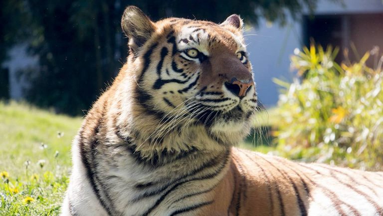 Zoo da Maia reabriu e passou a vender bilhetes família